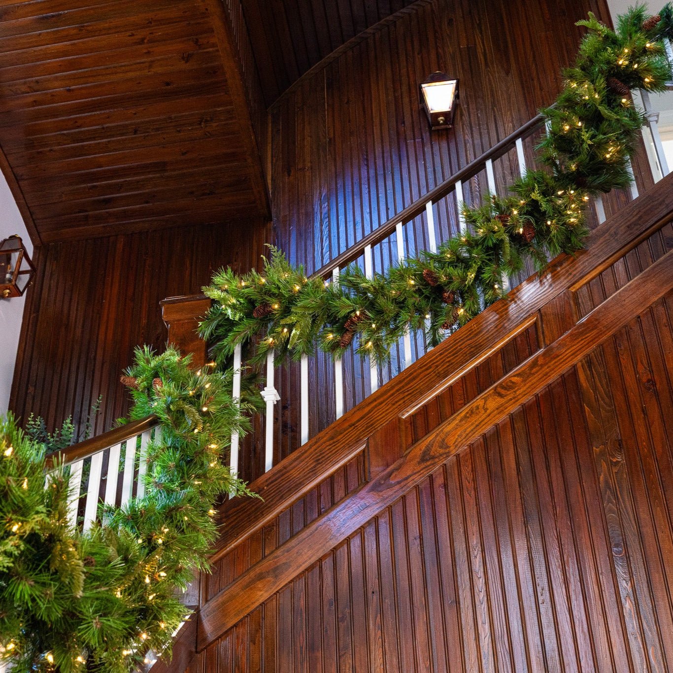 Aspen Garland - Plug-In with Classic Warm White Lights