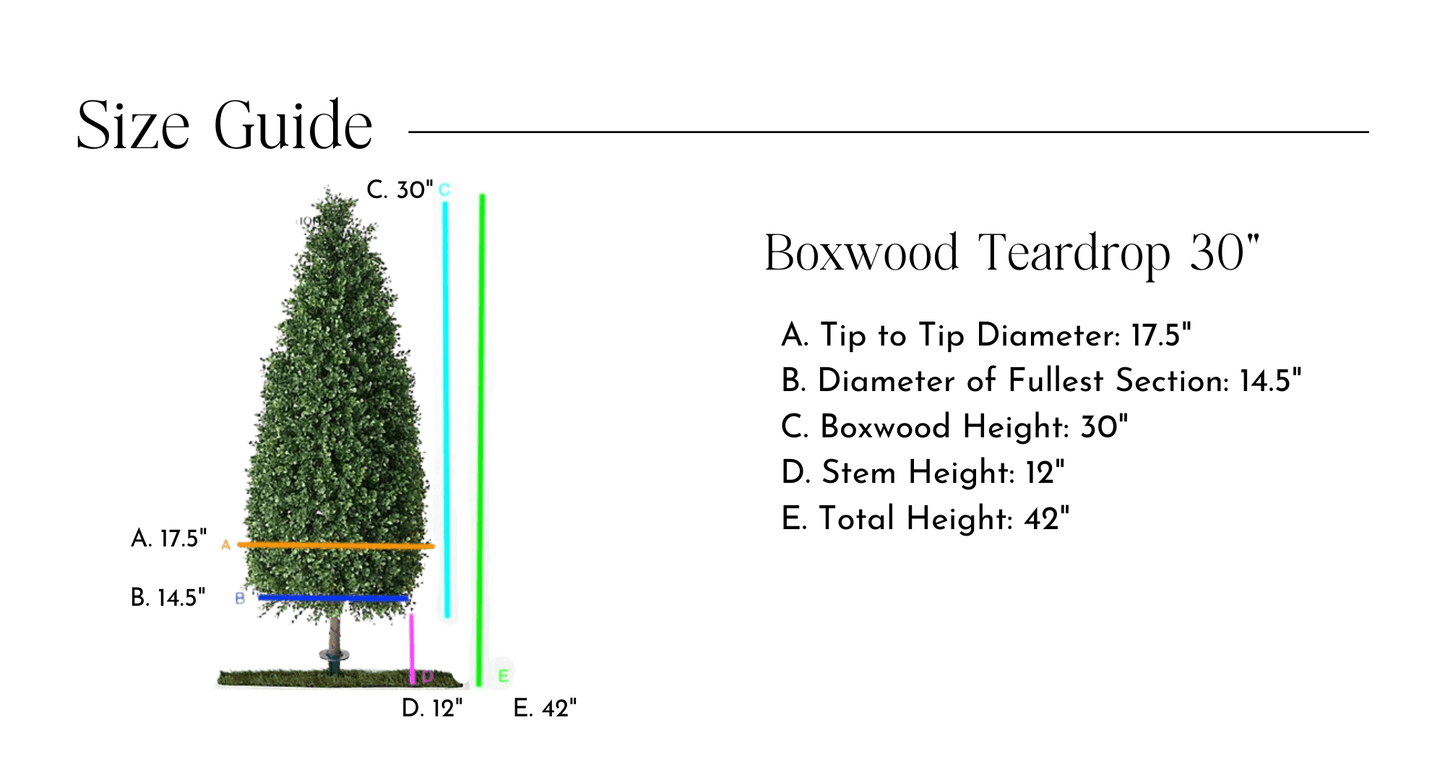 Lifelike Boxwood Cone
