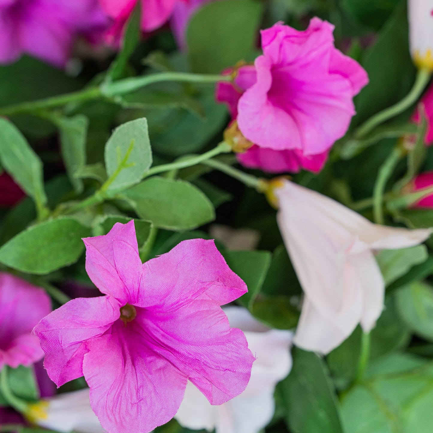 Lifelike Petunia Hanging Basket - Hot Pink and Light Pink