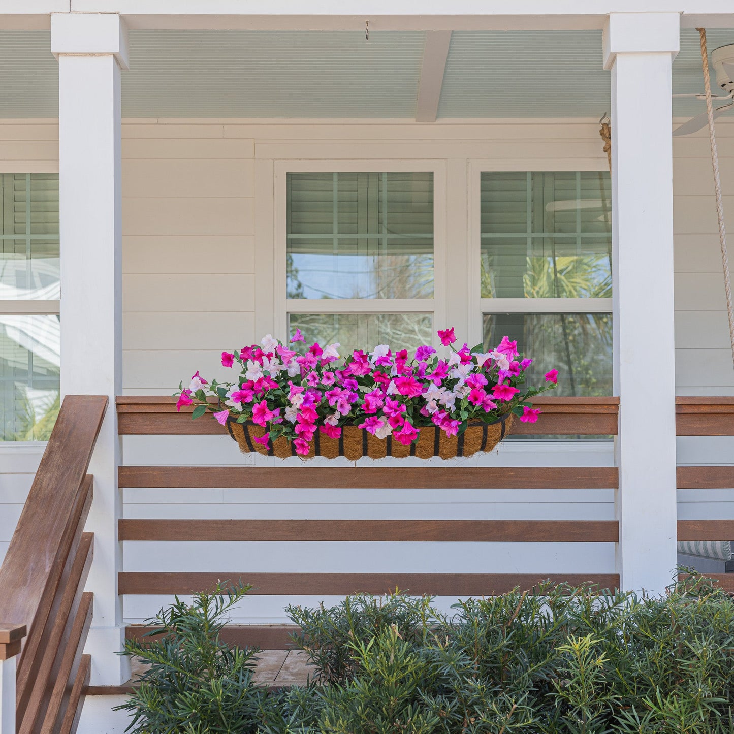 Lifelike Petunia Window Box Filler - Hot Pink and Light Pink