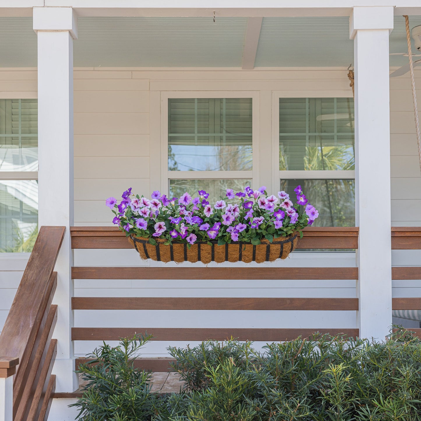 Lifelike Petunia Window Box Filler - Dark Purple and Light Purple
