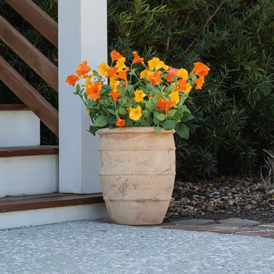Lifelike Petunia Urn Filler - Yellow and Orange - Celestial Lights
