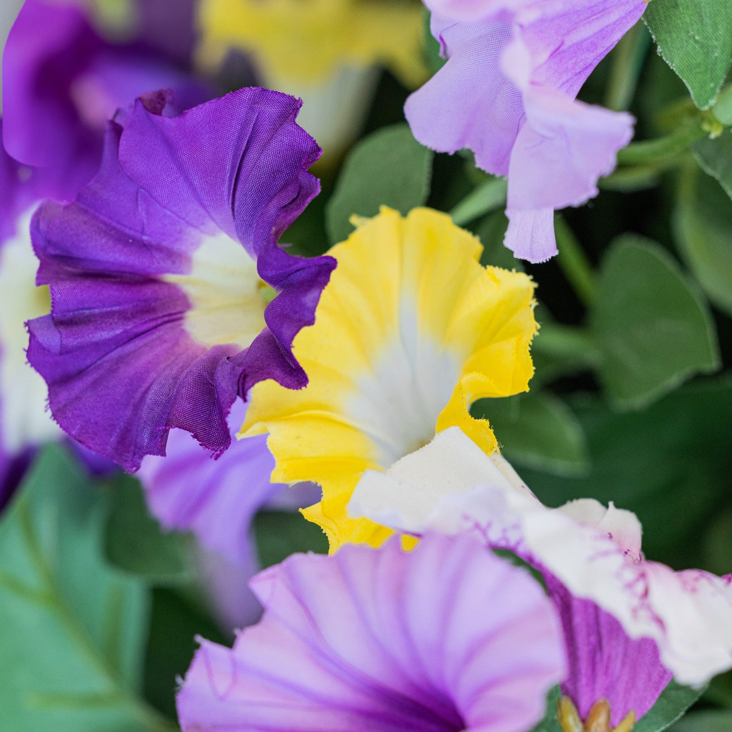 Lifelike Petunia Hanging Basket - Purple and Yellow