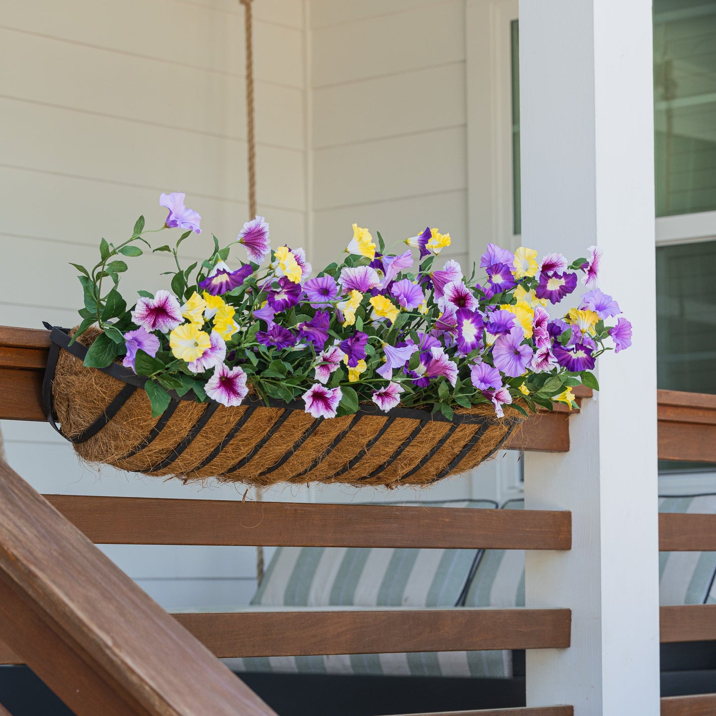 Lifelike Petunia Window Box Filler - Purple and Yellow - Celestial Lights