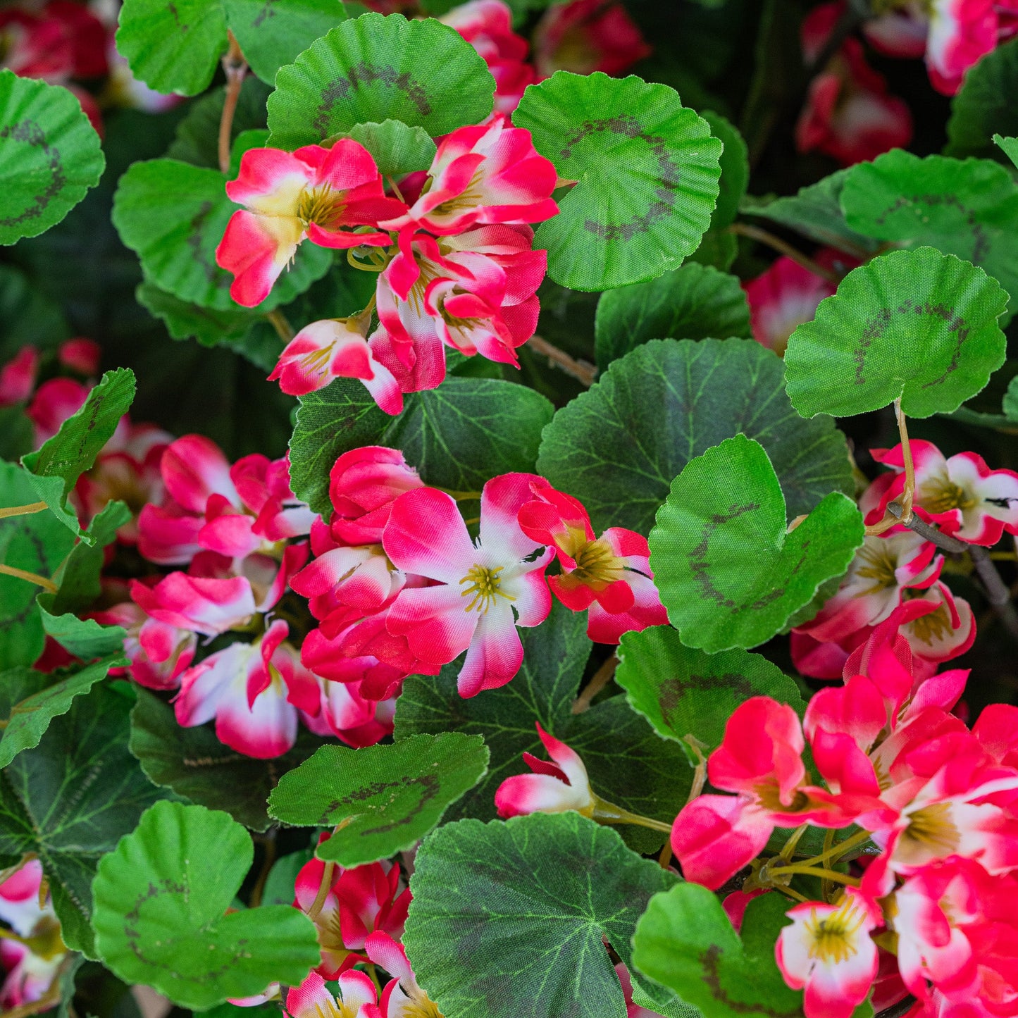 Lifelike Geranium Hanging Basket - Red
