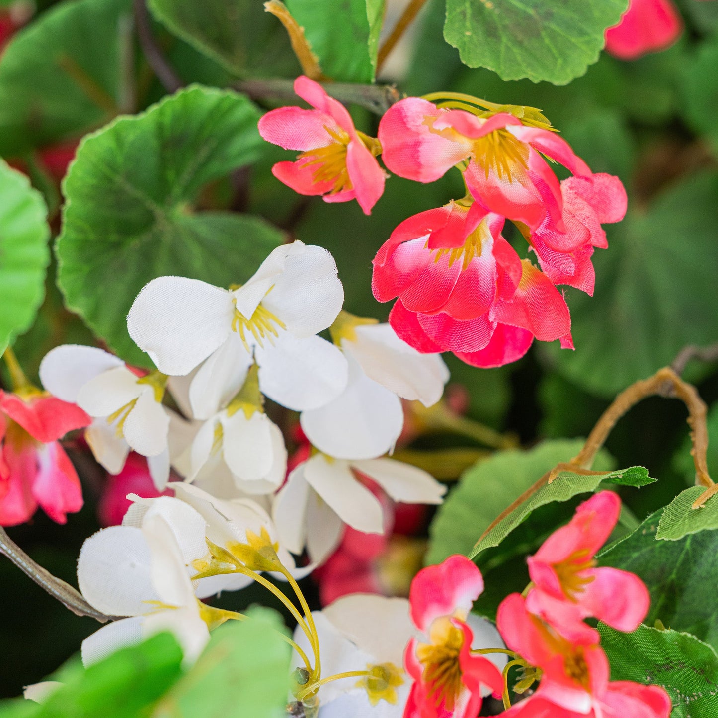 Lifelike Geranium Hanging Basket - Red and White