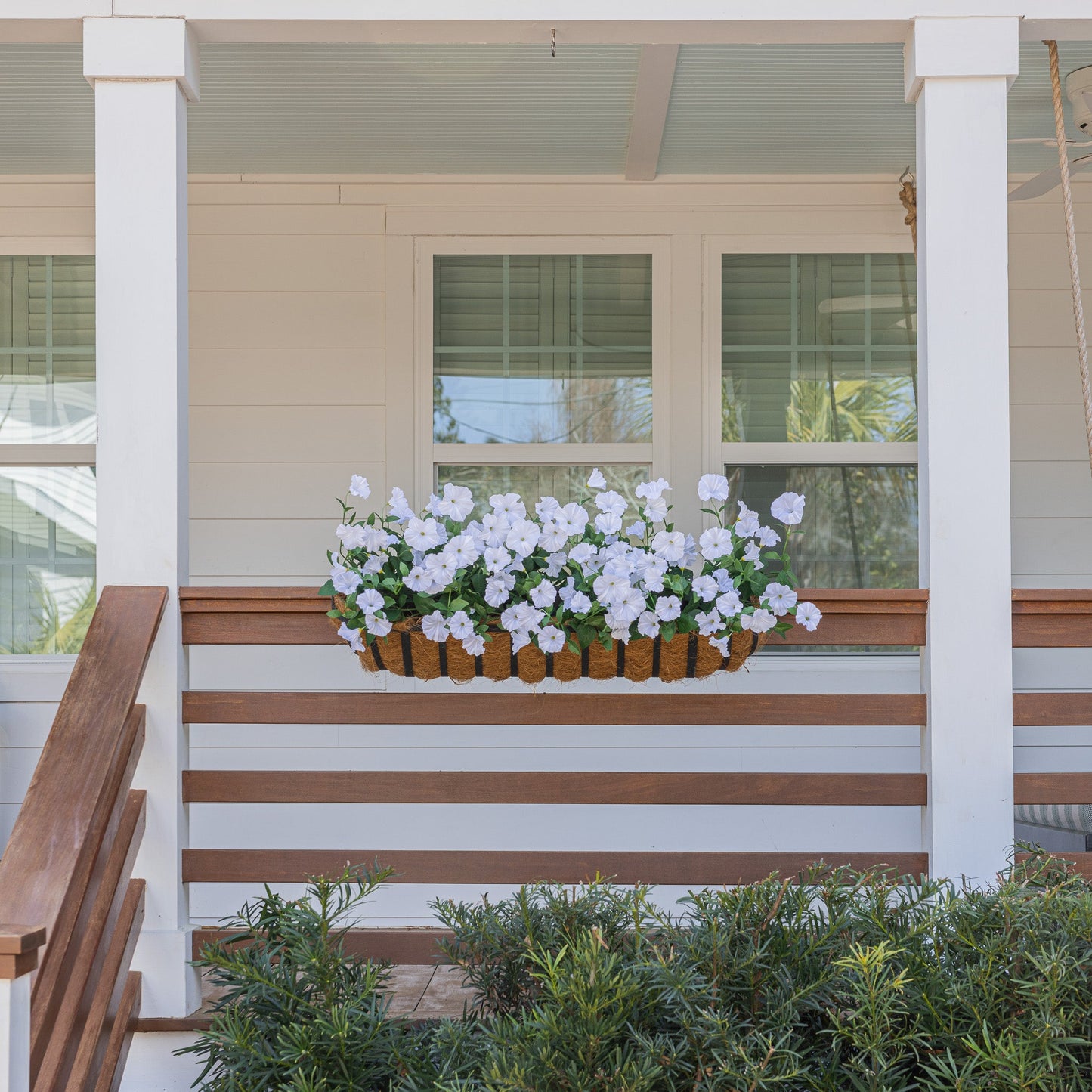 Lifelike Petunia Window Box Filler - Bright White