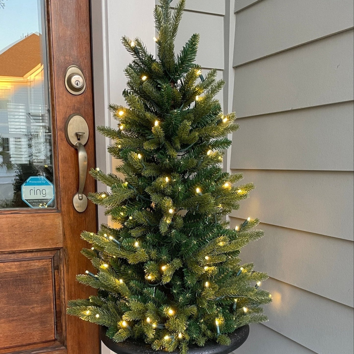 Plug-In Stake Tree with RGBWW LEDs and 50 Color Combination & Function Settings