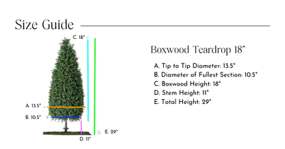 Lifelike Boxwood Cone