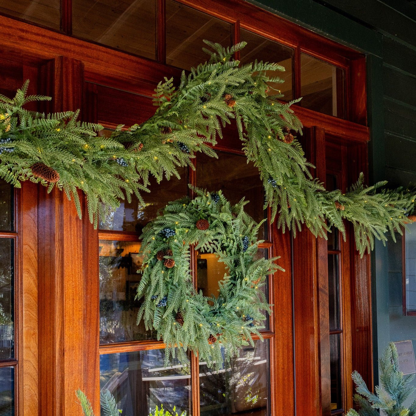 Norfolk Pine Wreath - Battery Operated with Warm White Fairy Lights