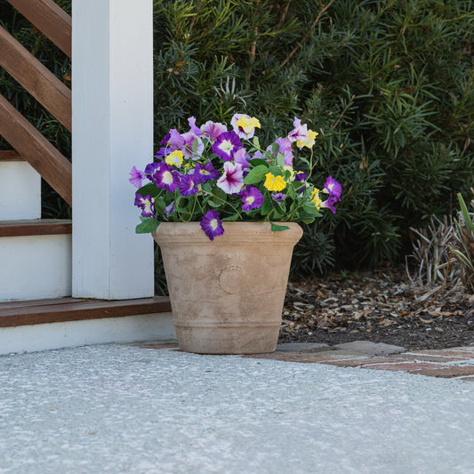 Lifelike Petunia Urn Filler - Purple and Yellow - Celestial Lights
