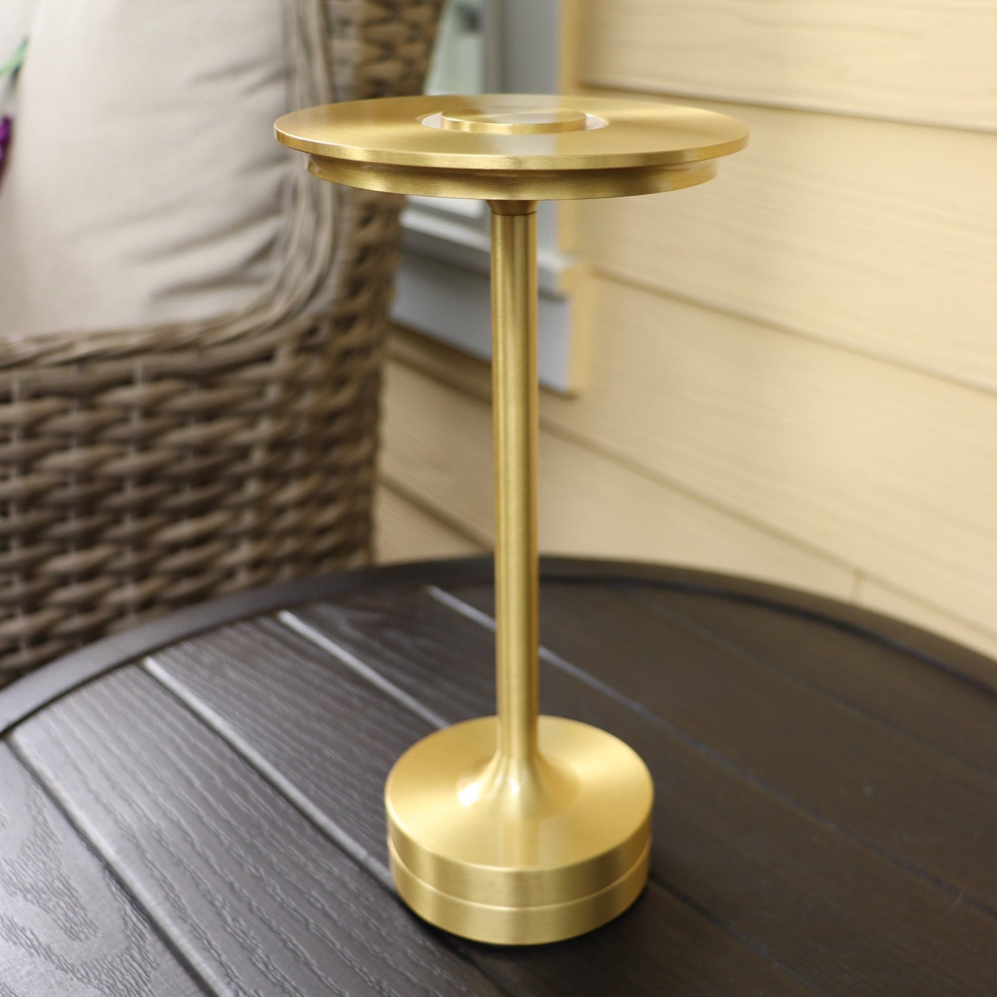 Malibu Patio Lamp with Bug Deterrent Setting