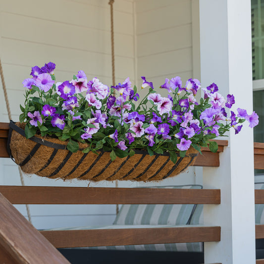Lifelike Petunia Window Box Filler - Dark Purple and Light Purple - Celestial Lights