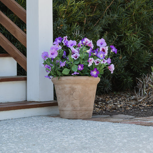 Lifelike Petunia Urn Filler - Light Purple and Dark Purple - Celestial Lights