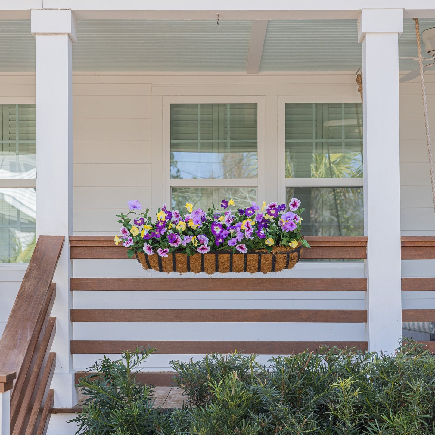 Lifelike Petunia Window Box Filler - Purple and Yellow