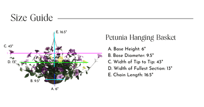 Lifelike Petunia Hanging Basket - Purple and Yellow