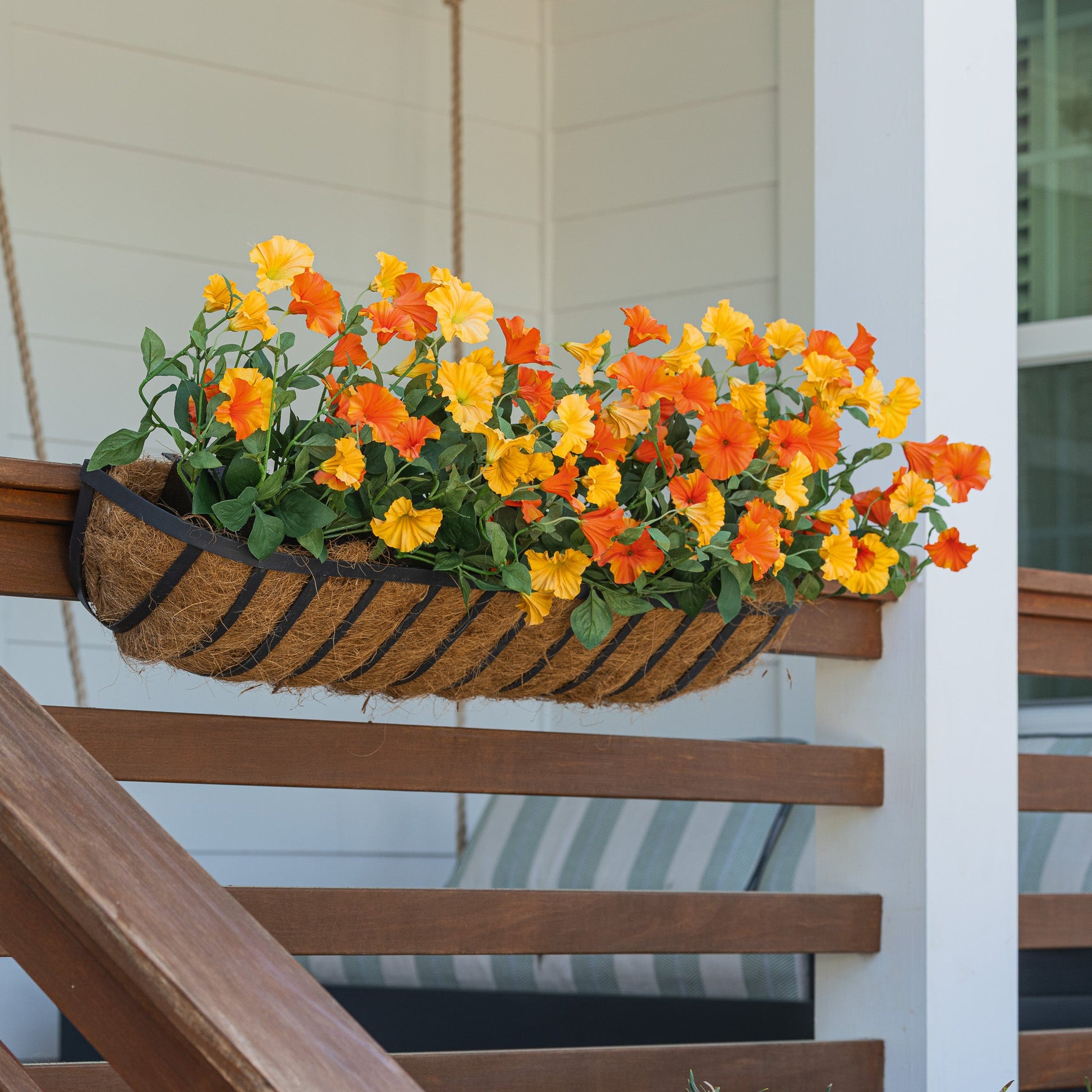 Lifelike Petunia Window Box Filler - Yellow and Orange - Celestial Lights