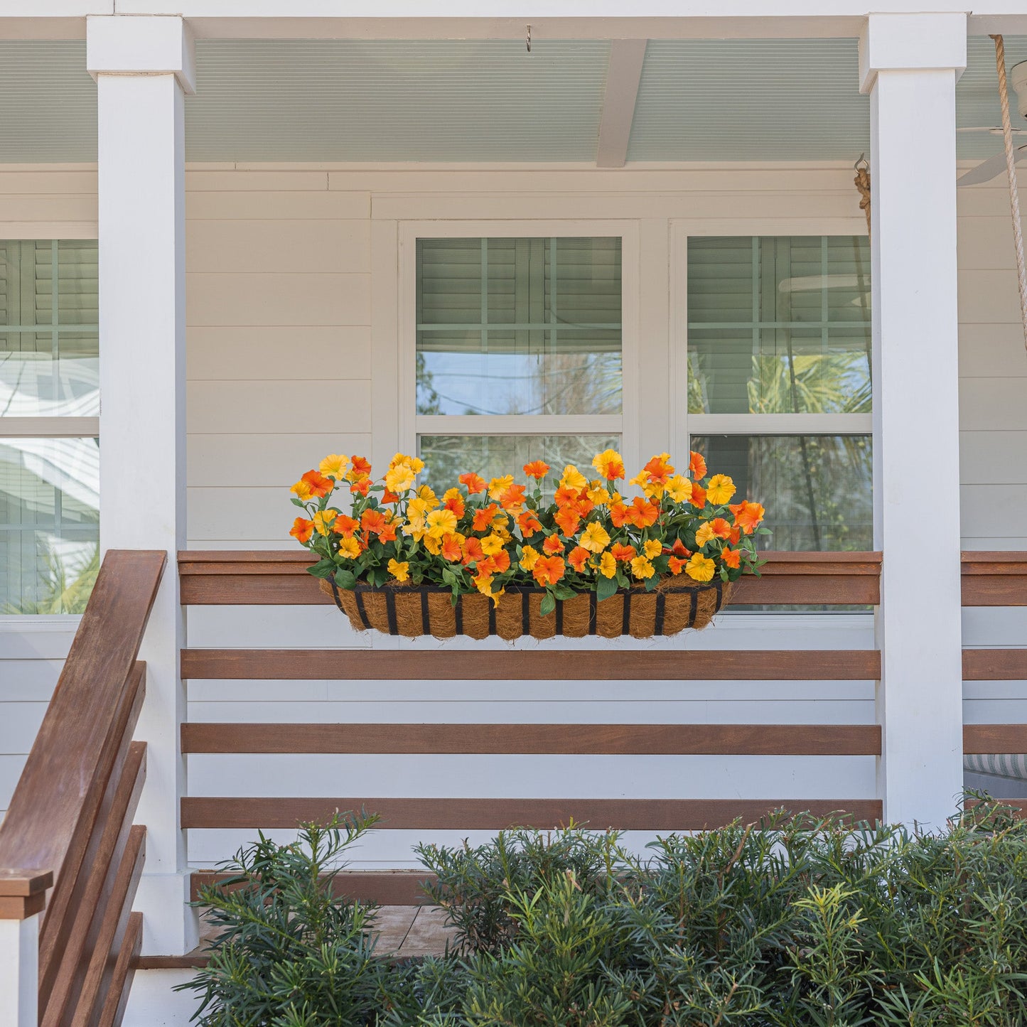 Lifelike Petunia Window Box Filler - Yellow and Orange